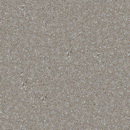 Forest Snow Lslab